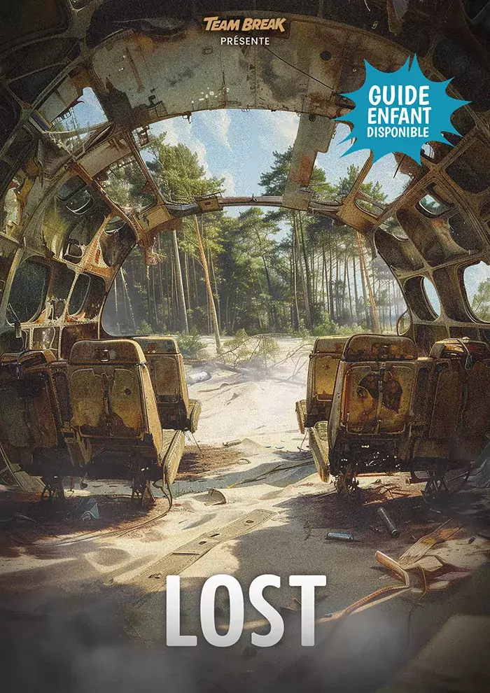 Affiche Lost