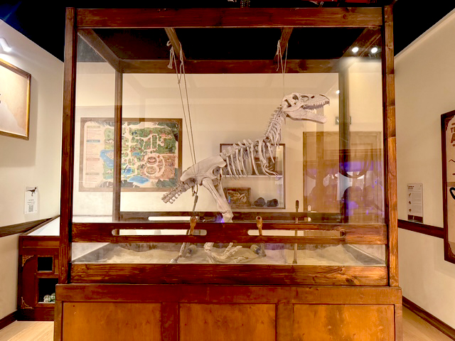 Le squelette de dinosaure sous vitrine, salle Jurassik Room à Aéroville