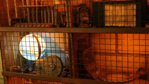 Fort Boyard : histoire, construction et secrets du monument