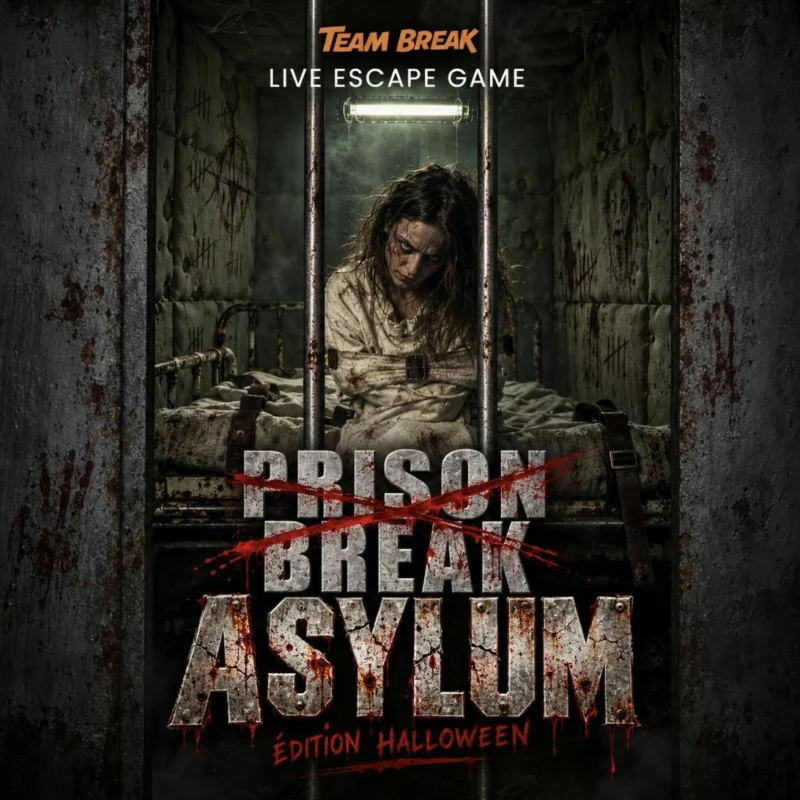 Affiche Prison Break Asylum