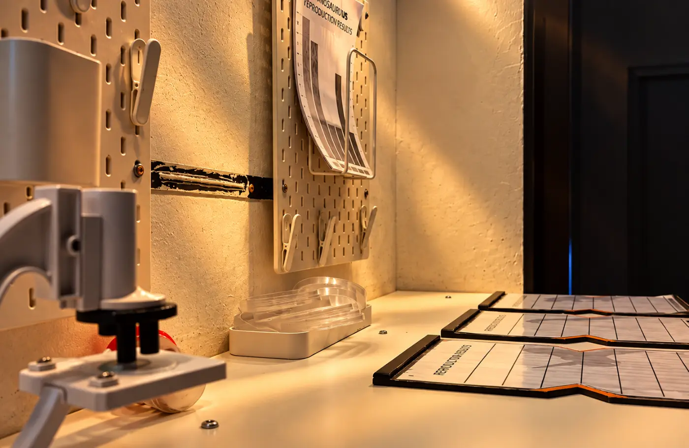 Escape Game Jurassik Room, photo 3